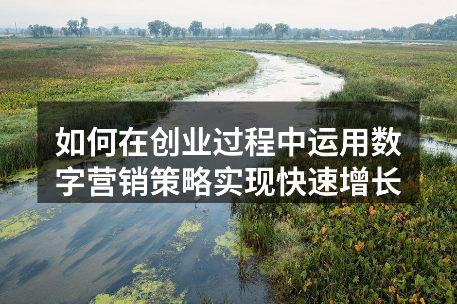 如何在创业过程中运用数字营销策略实现快速增长