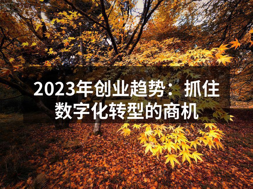 2023年创业趋势：抓住数字化转型的商机
