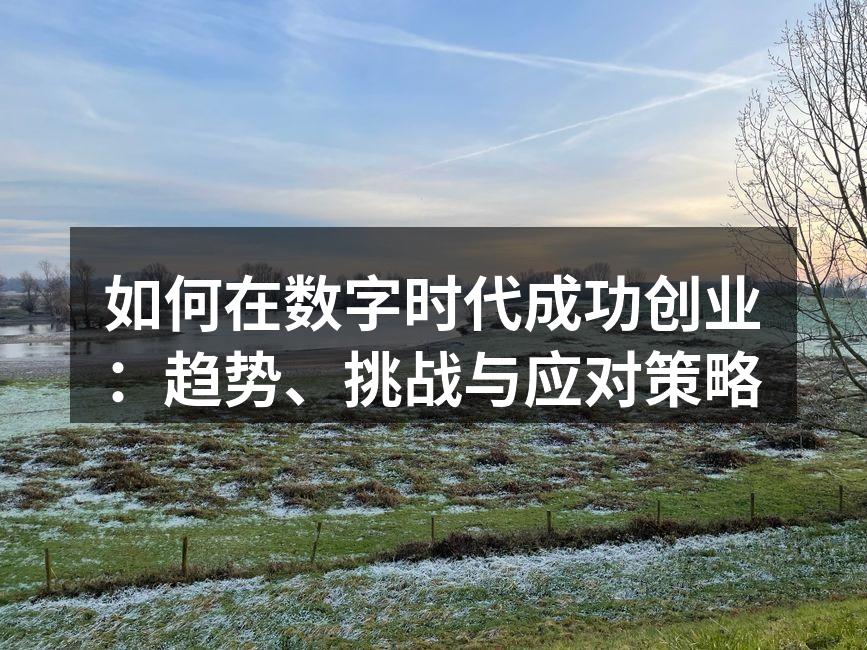 如何在数字时代成功创业：趋势、挑战与应对策略